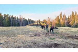 Part III - Ensuring Competence in Wilderness Search and Rescue A Call to Action for Organizations